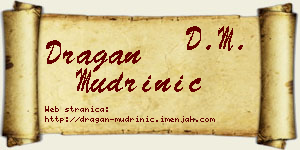 Dragan Mudrinić vizit kartica
